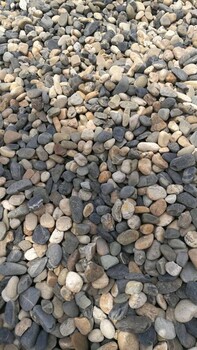 變電站鵝卵石鋪路鵝卵石品質(zhì)