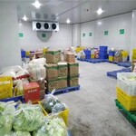 深圳龙岗农副产品批发食堂蔬菜配送公司欢迎来电议价