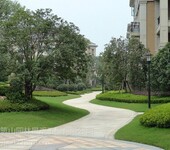 上海奉贤花镜设计园林景观绿化养护案例