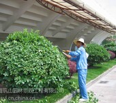 上海闵行区植物花卉租赁种植