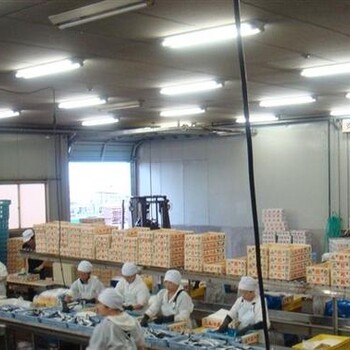 福建龍巖境外勞務(wù)派遣一年能賺多少錢