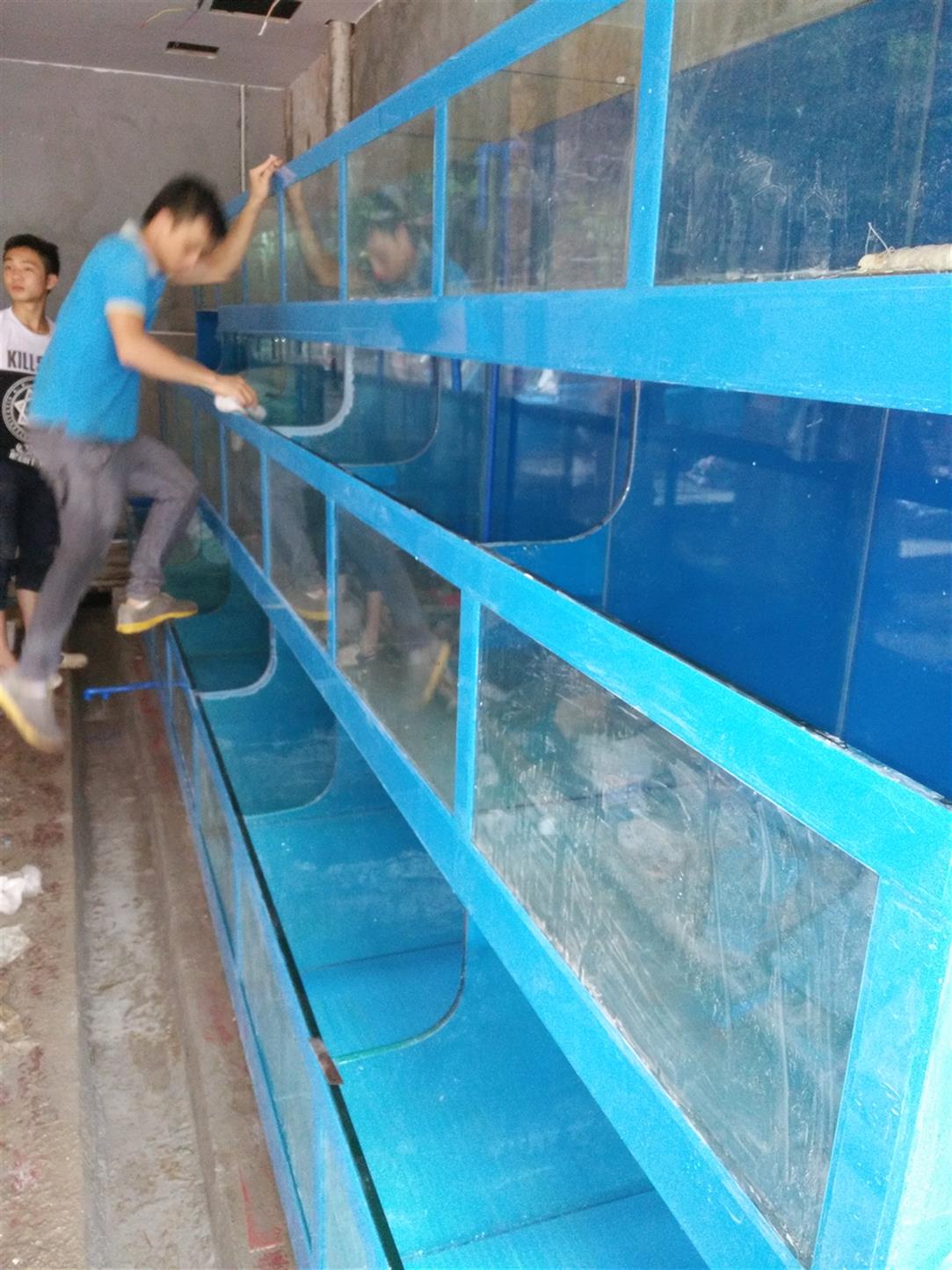 荔湾玻璃鱼池清洗消毒价格