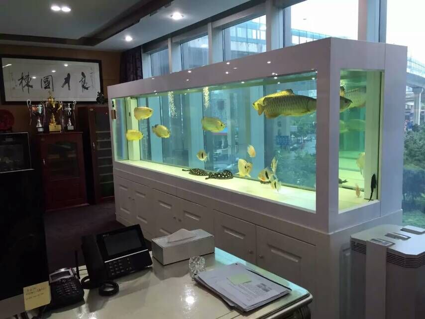 广州贝壳鱼池清洗消毒公司