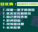 长春专业新能源水性燃料厂家 新能源 环保动力油