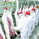 墊江出國勞務簽證怎么辦理流程