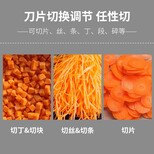 不锈钢切娃娃菜机切高丽菜机切大白菜机图片3