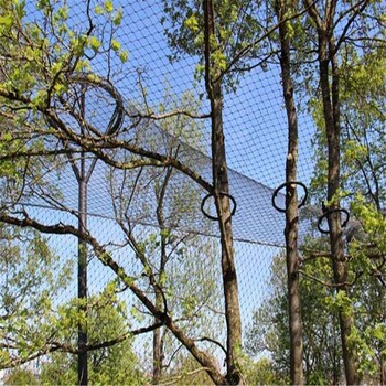 钢丝编织绳网动物园笼舍网不锈钢丝编织的网子