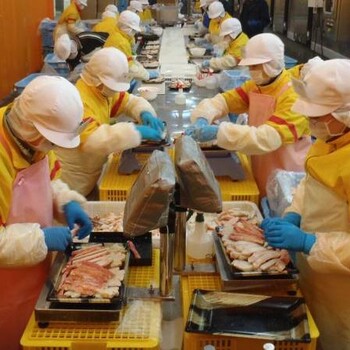 湖南常德出國打工一年能賺多少錢
