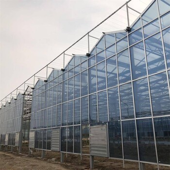 建设生态玻璃温室大棚金沣玻璃温室智能大棚智能温室建设厂家