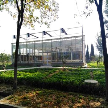现代化智能玻璃温室大棚钢结构大棚骨架生产厂家金沣温室