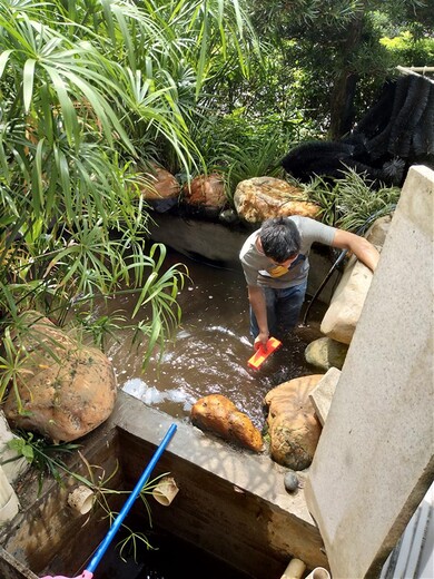 荔湾龙鱼缸清洗消毒市场价 别墅鱼池护理换水 免费上门