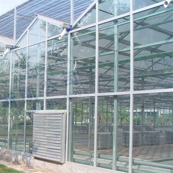 天津智能玻璃光伏温室建造智能阳光板温室大棚金沣温室
