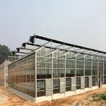 生态智能花卉大棚金沣玻璃温室大棚工程园艺阳光板温室建设