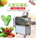 广州九盈TJ-306A大头菜切丝机视频 切大白菜 切包菜馅设备厂家