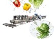 广州洗菜机厂家 果蔬清洗机视频 自动翻转洗菜机图片 洗生菜设备