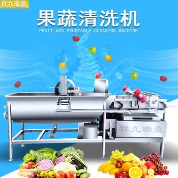 广州瑞盈厂 定制洗菜机 洗青菜机 洗菠菜机 中央厨房生产线设备