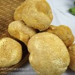 猴头菇粉养胃的健康的蔬菜粉厂家直销琦轩食品广东东莞图片