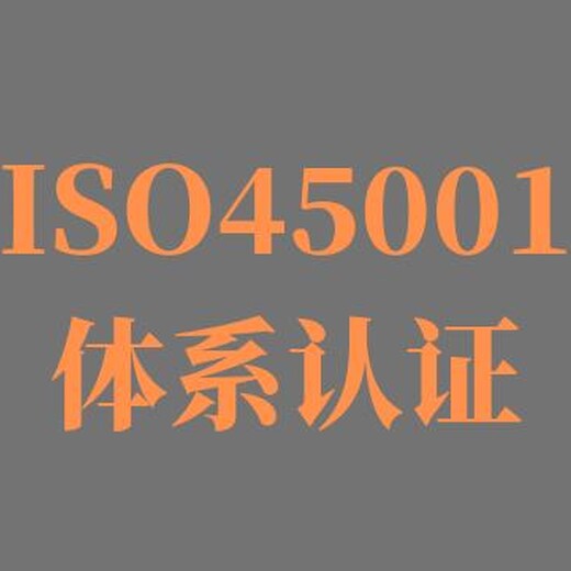 连云港18001体系ISO45001认证 一对一服务