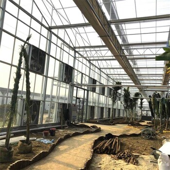 钢化玻璃大棚建设厂家智能蔬菜大棚金沣温室