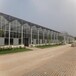 长春玻璃温室大棚建设厂家金沣温室智能温室大棚供应