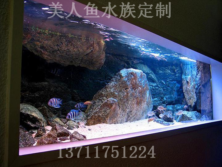 深圳生态鱼缸造景