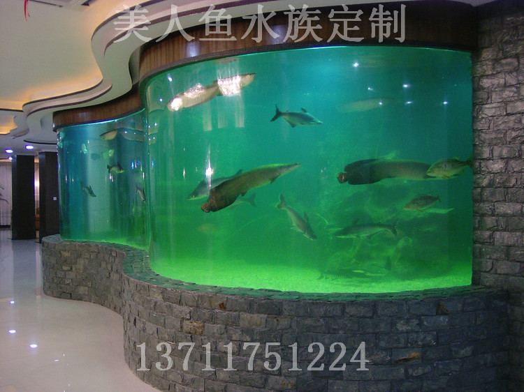 海珠观赏鱼缸安装