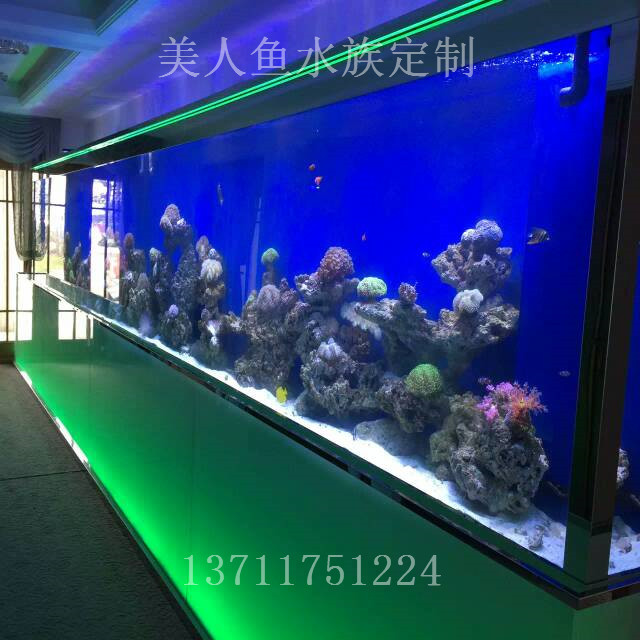 廣州辦公室魚缸定做公司
