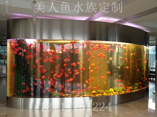东莞办公室鱼缸设计
