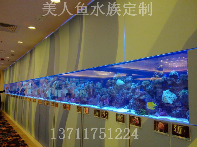 增城生态鱼缸图片
