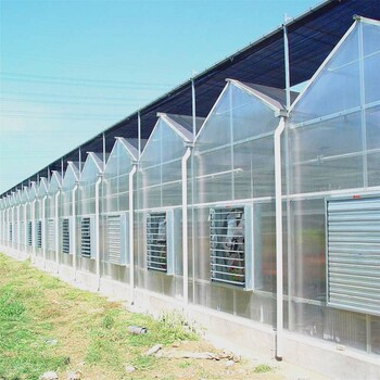 智能玻璃温室大棚配件金沣温室现代化玻璃温室大棚供应