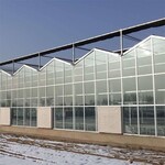 金沣观光生态栽培温室大棚工程智能温室骨架建设