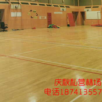 體育木地板_品質(zhì)運(yùn)動(dòng)木地板_優(yōu)選優(yōu)體地板有限公司