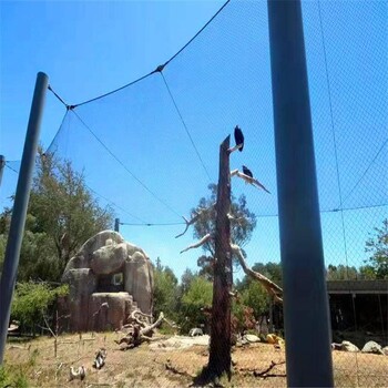聚隆定制304不锈钢绳网动物园防护网动物园隔离网
