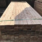临沂白松建筑木方 3米工地木方 白松建筑木方厂家