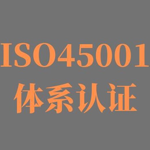 苏州ISO45001认证多长时间 一对一服务