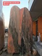 漳州长泰大型刻字石景观石基地景观石供应商图片