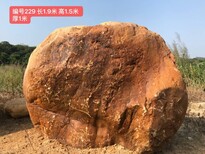 梅州大埔门牌石景观石黄蜡石立石原石图片2