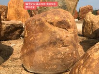 梅州大埔门牌石景观石黄蜡石立石原石图片0