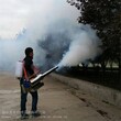 上下均匀喷射果树杀虫机喷射范围广树林烟雾打药机图片