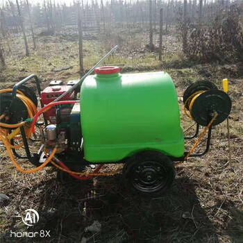 生产农用植保机械打药机宏泰手推式园林打药机杀虫风送式柴油农药喷洒机