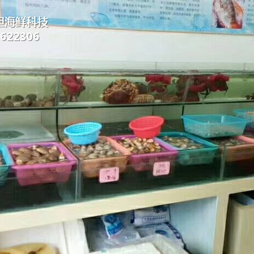 东莞茶山海鲜鱼缸厂家 饭店海鲜池 在线免费咨询