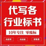 标书设计制作公司，评估项目投标书代写图片2