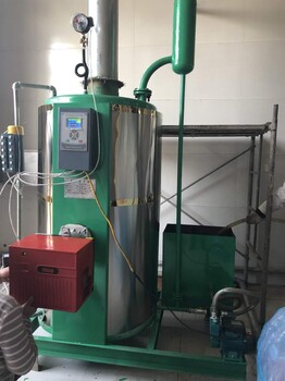 沈陽(yáng)立式燃油氣蒸汽發(fā)生器 歡迎在線咨詢