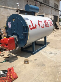 正規(guī)燃?xì)庹羝仩t制造商 聯(lián)系我們獲取更多資料