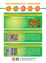 南宁促进鸡鸭鹅生长发育宝母价格 宝母 在线免费咨询图片