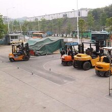 全国真实有效叉车证效率高 厂内机动车 在线免费报价图片