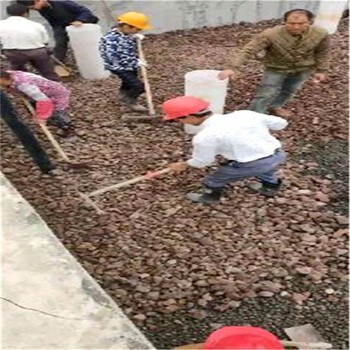 香港人工湿地填料