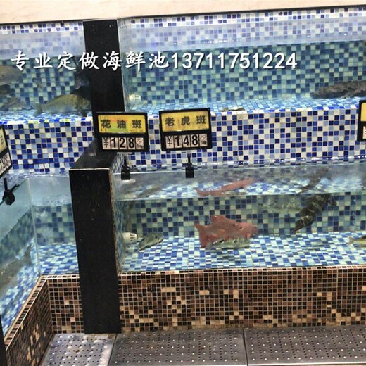 广州低涌定做海鲜池设备 大排档海鲜池定做 欢迎致电
