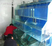 广州天河海鲜鱼池制冷工程 海鲜鱼缸 点击查看详情