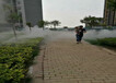 扬州自动小区雾森系统 广场造雾设备 制造工艺优